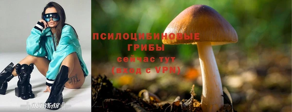 бутират Новозыбков